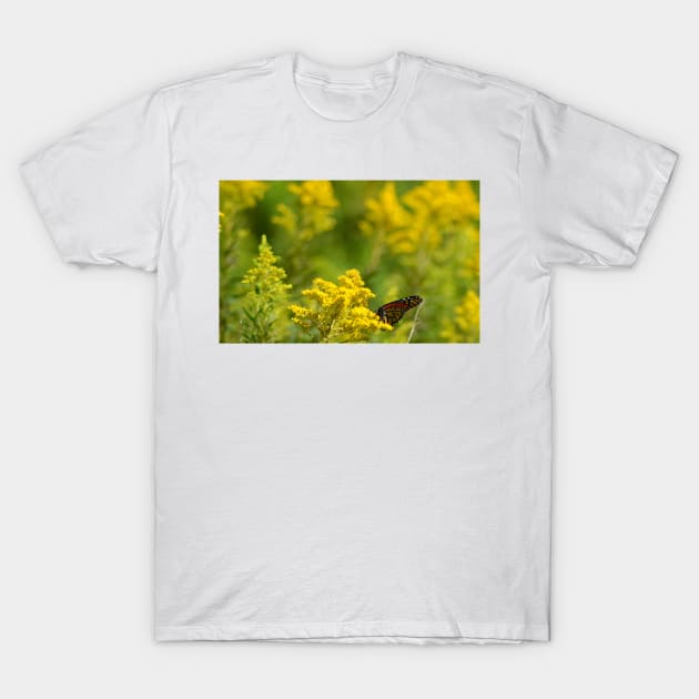 Monarch in Repose T-Shirt by srosu